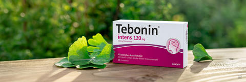 Tebonin intens 120 mg Filmtabletten neben Ginkgo-Blättern, dargestellt in einer natürlichen Umgebung.