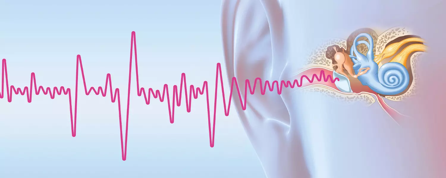 Illustration Weg der Schallwellen ins Innenohr